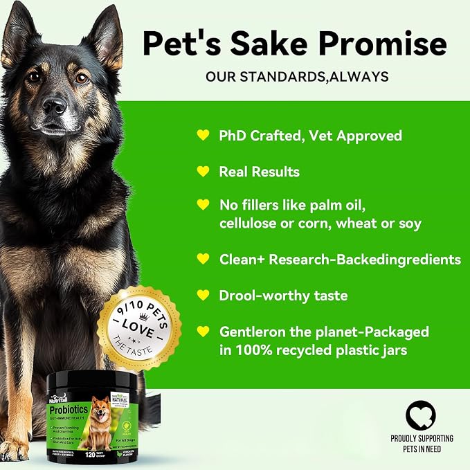 Probiotics for Dogs – Digestive & Immune Support Soft Chews with Prebiotics, Fiber & Enzymes – Relieves Diarrhea, Gas & Itchy Skin – Chicken Flavor Dog Supplement, 120 Chews