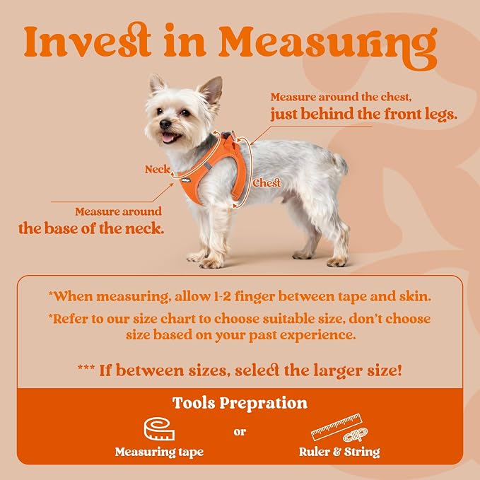 rabbitgoo Step-in Small Dog Harness, Puppy Vest for Small Sized Pet | Easy Put on and off, Lightweight, Soft, Breathable Quick-Dry Air Mesh for Comfortable Secure Walking, Orange XXS