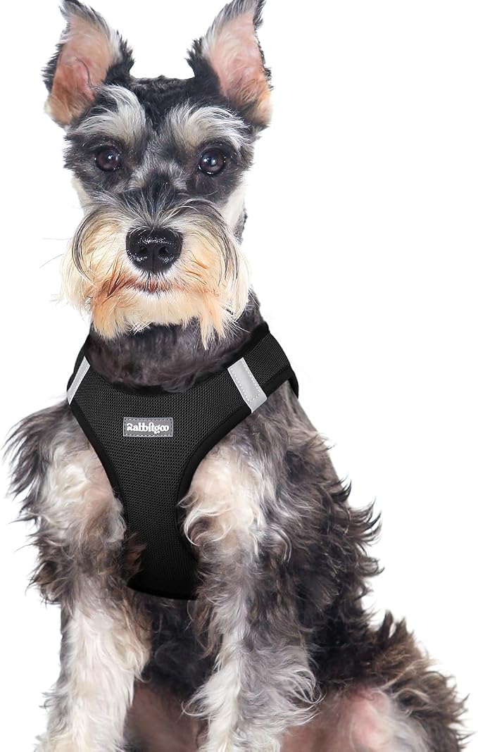 rabbitgoo Step-in Small Dog Harness, Puppy Vest for Medium Sized Pet | Easy Put on and off, Lightweight, Soft, Breathable Quick-Dry Air Mesh for Comfortable Secure Walking, Black XXL