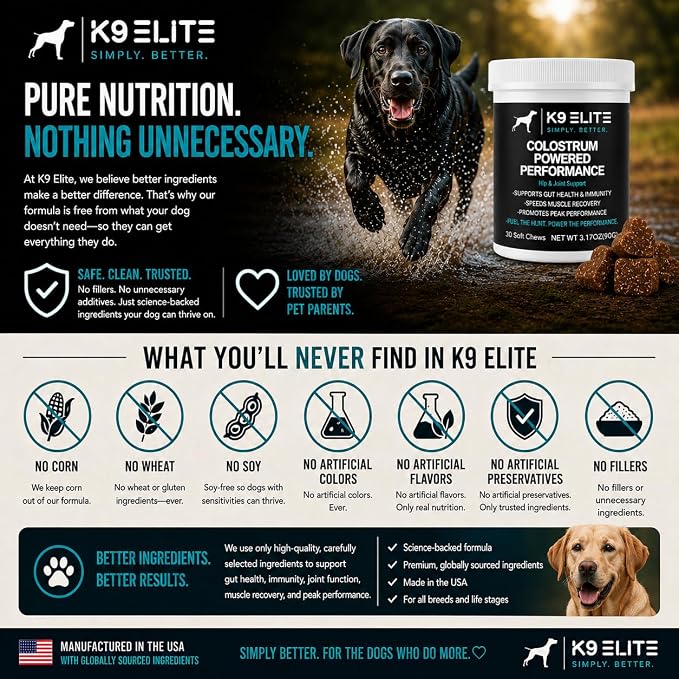 Hip & Joint Supplement for Dogs – Glucosamine, Chondroitin, Green Lipped Mussel, Colostrum, Collagen & Omega-3 – Daily Joint, Mobility, Gut & Immune Support –
