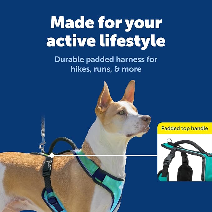 PetSafe EasySport Dog Harness, Teal Blue, Medium | Padded, Elastic Neckline Harness for Active Dogs, Reflective Piping for Visibility, Top Control Handle, Rear Leash Clip