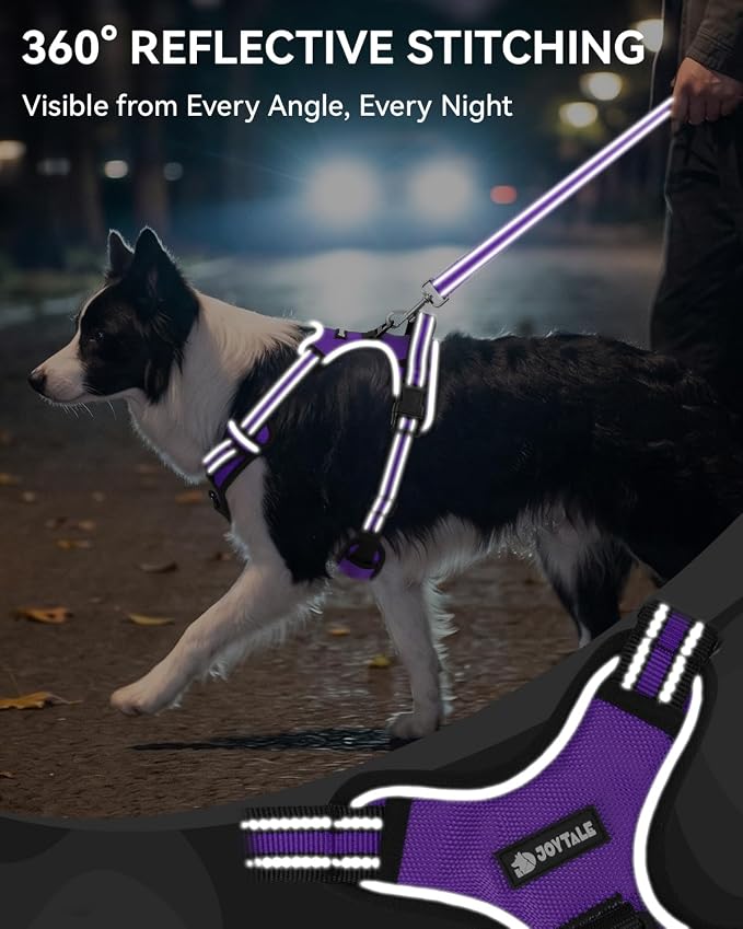 Joytale No Pull Dog Harness & Seat Belt, Easy On 3-Buckle, L, Purple | Front Clip Reduces Pulling, Escape-Resistant Design, Adjustable Fit, Soft Padding for Comfort, Secure Tether for Safer Travel