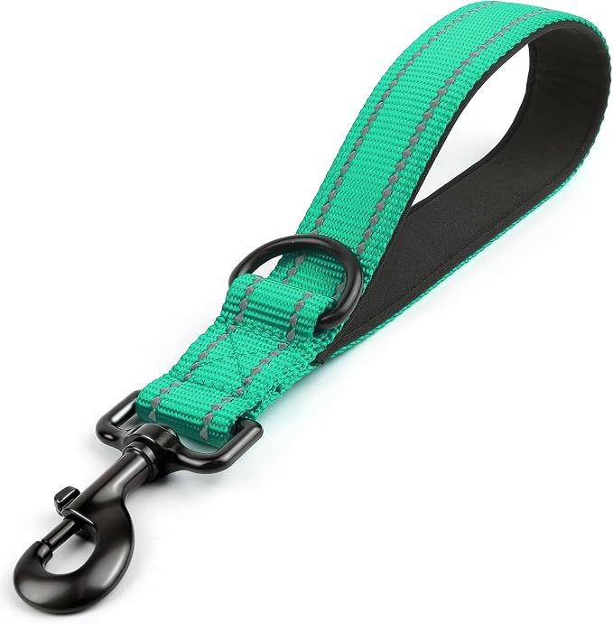 Joytale Short Dog Leash for Close Control & Training, 12", Teal | Padded Comfort Handle, Reinforced Nylon Webbing, Secure Metal Clip, for Busy Streets & Heel Training