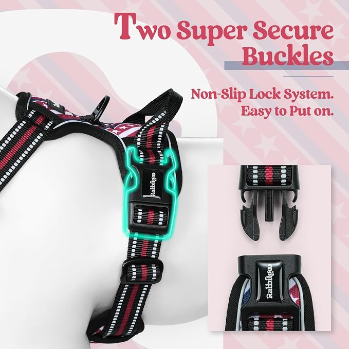rabbitgoo Dog Harness, No Pull for Large Dogs with 2 Leash Clips, Pet Vest | No Choke with Handle, Adjustable Soft Padded, Reflective, Easy Control for Walking, Red Stripe, X-Large