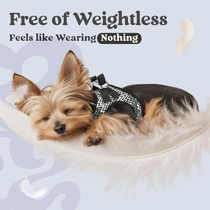 rabbitgoo Step-in Small Dog Harness, Puppy Vest for Small Sized Pet | Easy Put on and off, Lightweight, Soft, Breathable Quick-Dry Air Mesh for Comfortable Secure Walking, Black Zigzag M