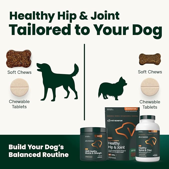 VetriScience HMB Healthy Muscle & Strength Supplement for Dogs, Mobility Support & Muscle Builder with Collagen, Calcium, Vitamin D & Curcumin, Powder, Pork, 8.47 oz - New Look