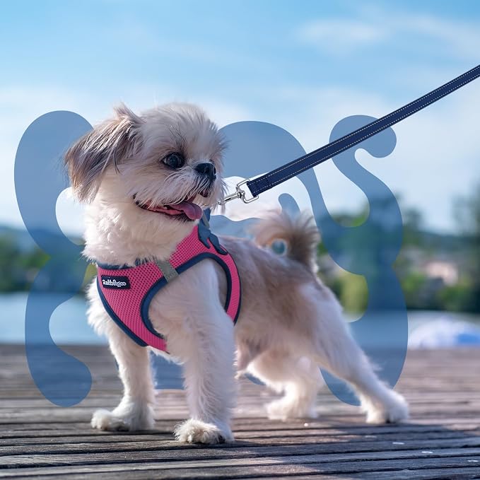 rabbitgoo Dog Harness Small Sized and Leash Set, Step in Soft Vest | Breathable Mesh, Easy Wear with Hook & Loop, Light and Reflective for Walking, Multi-colored, Rose Red & Navy Blue, XS