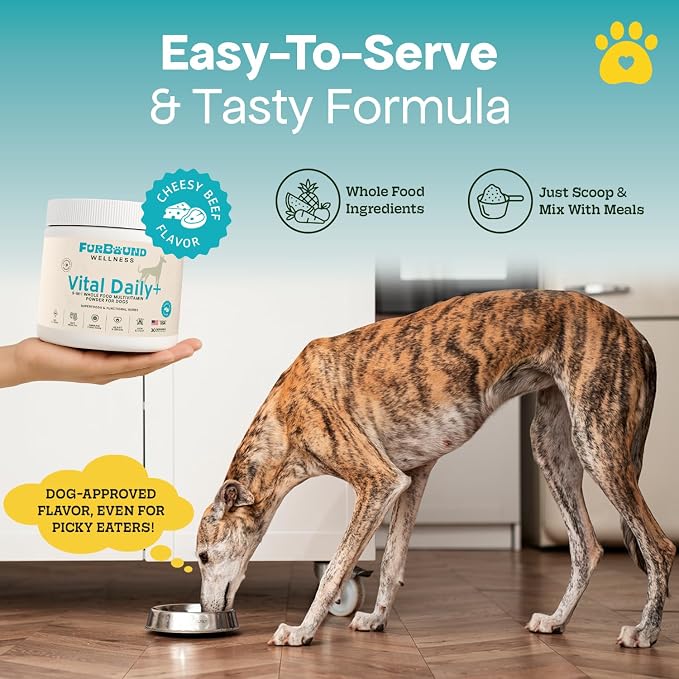 Dog Multivitamin Powder, Skin Coat Joint & Gut, Cheesy Beef
