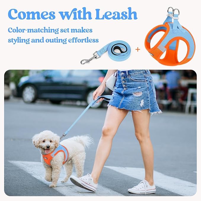 rabbitgoo Dog Harness Small Sized and Leash Set, Step-in Puppy Pet Vest | Light, Soft, Breathable Air Mesh, Easy on and Remove with Hook & Loop, Secure Reflective for Walking, Blue & Orange XXS