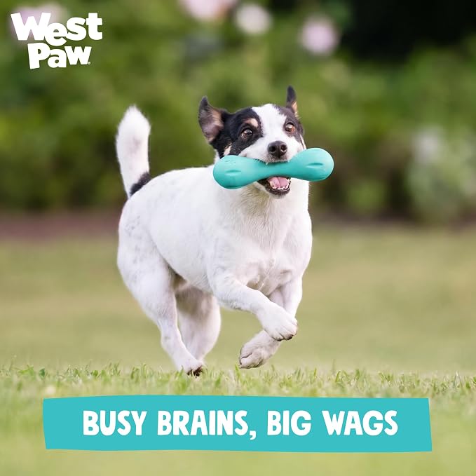 WEST PAW Zogoflex Hurley Dog Bone Chew Toy – Floatable Pet Toys for Aggressive Chewers, Catch, Fetch – Bright-Colored Bones for Dogs – Recyclable, Dishwasher-Safe, Non-Toxic, X-Small, Geranium
