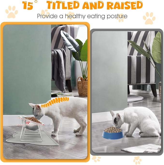 Elevated Cat Bowls, 2 Pack Raised Cat Food Water Bowls with Non-Slip Placemat, 15° Tilted Stand Anti Vomiting Stainless Steel Pet Food Feeding Dishes Plate for Cats Kitten Puppies Dogs Small Animals