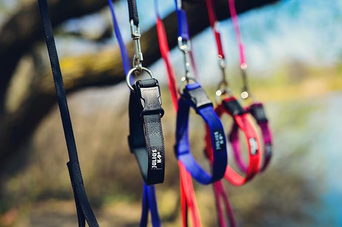 Color & Gray Super-Grip Leash with Handle, and D-Ring, 0.79 in x 6.56 ft, Black-Gray