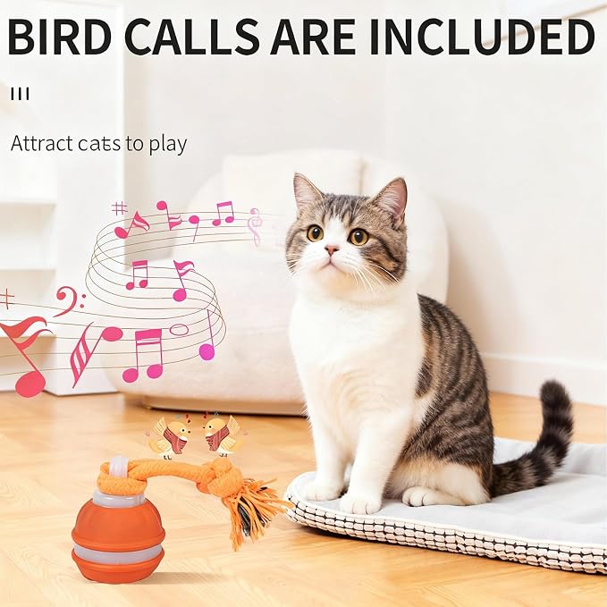 2 Pack Interactive Dog & Cat Ball, Auto Chirping, Rechargeable, Self Play | Motion activated, chirp sound, USB-C fast charge, indoor play, boredom relief for small dog & cat, blue orange 2 pack