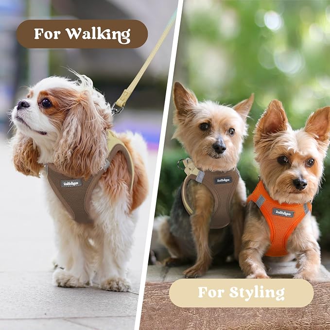 rabbitgoo Step-in Small Dog Harness, Puppy Vest for Small Sized Pet | Easy Put on and off, Lightweight, Soft, Breathable Quick-Dry Air Mesh for Comfortable Secure Walking, Brown & Beige XS