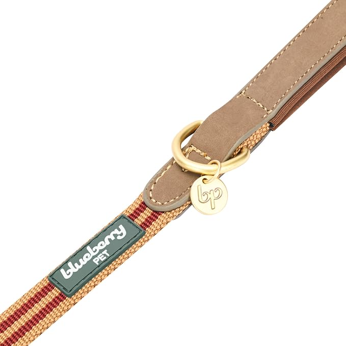 Blueberry Pet Polyester Fabric Webbing and Soft Genuine Leather Dog Leash with Soft & Comfortable Handle, 6 ft x 1", Red and Brown, Leashes for Dogs