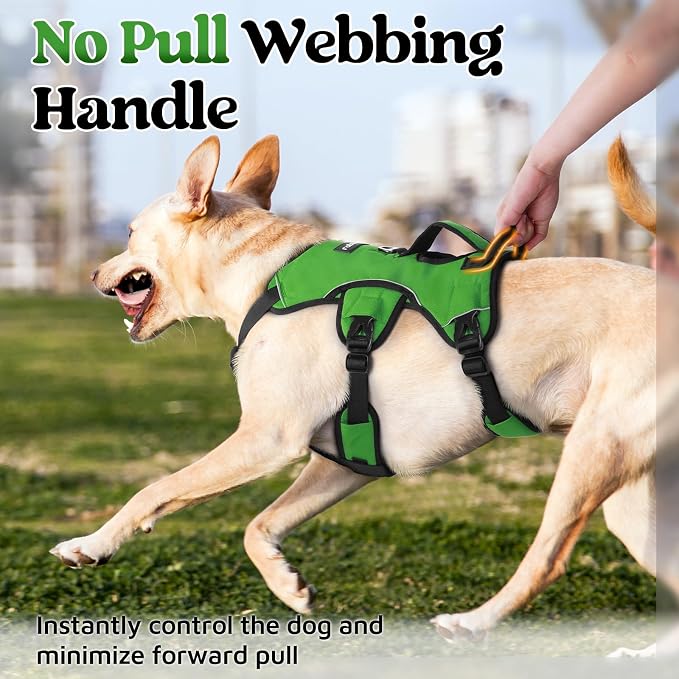 rabbitgoo Escape Proof Dog Harness for X-Large, No Pull with Lift Handle | No Escape, Full Soft Padded, Reflective Adjustable Vest, Leash Clip for Walking Hiking Training, Green, X-Large