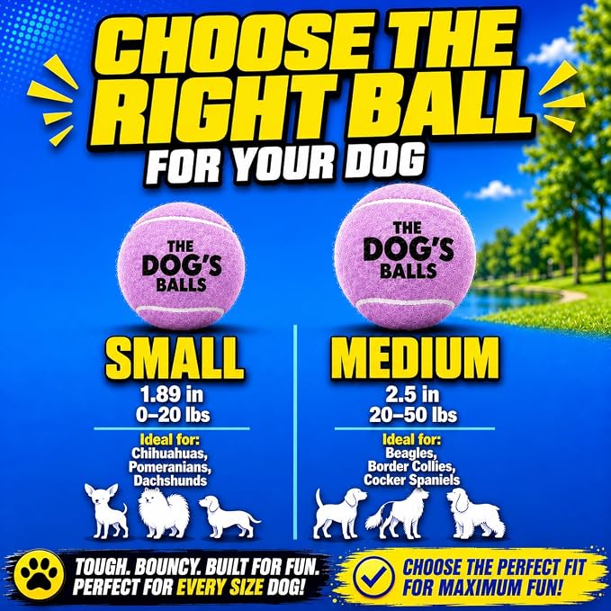 The Dog's Balls Dog Tennis Balls Tough 2.5" 12-Pack Purple Floats in Water | Our fetch balls combine non-abrasive felt exterior and a thicker rubber core Durable Dog Toy for Outdoor Play & Training