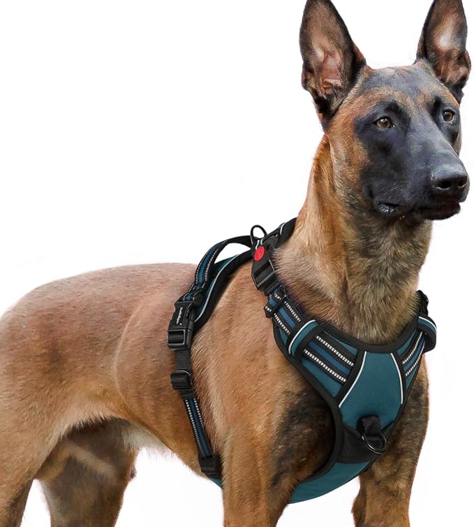 rabbitgoo Dog Harness for Large, Updated Easy On & Off with 3 Buckles | No Pull No Choke, Walking with 2 Clips and Handle, Adjustable Soft Reflective, Blue Coral, X-large