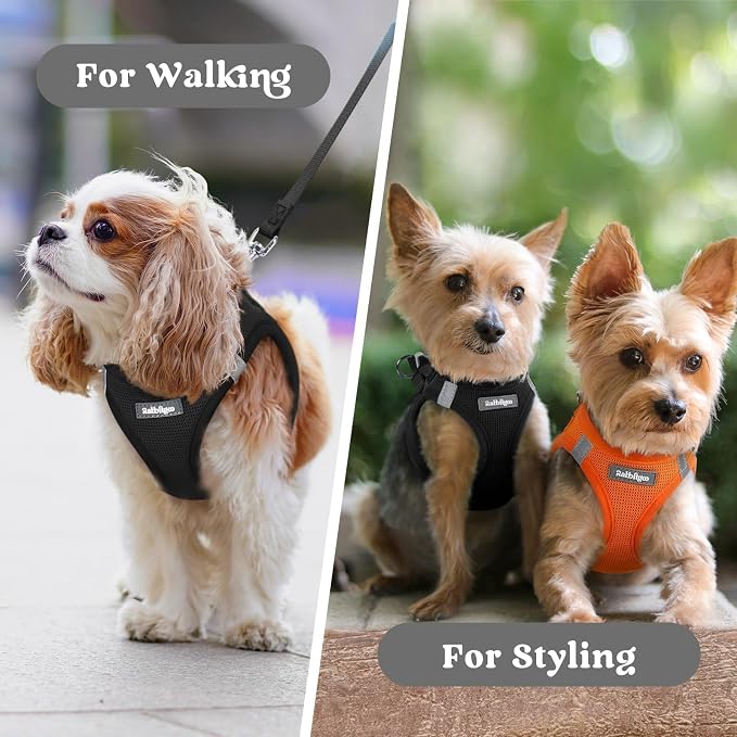 rabbitgoo Step-in Small Dog Harness, Puppy Vest for Small Sized Pet | Easy Put on and off, Lightweight, Soft, Breathable Quick-Dry Air Mesh for Comfortable Secure Walking, Black S