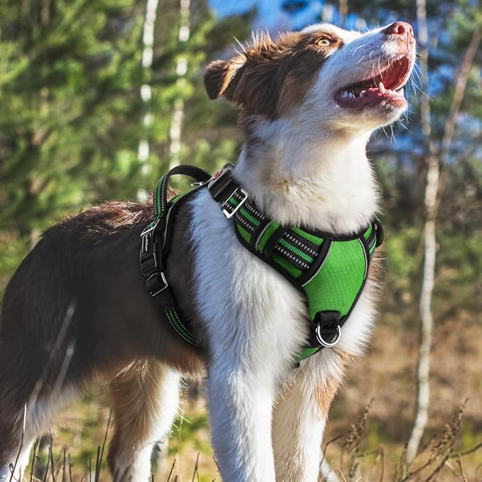 rabbitgoo Dog Harness Medium Sized, No Pull 3 Buckles Easy On & Off | Soft Padded, Walking with Control Handle, Adjustable and Reflective, Green, Medium