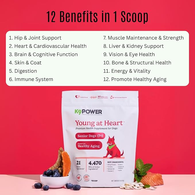 K9Power Young at Heart – Senior Dog Supplement for Longevity & Vitality – Supports Joints, Brain, Heart, Digestion, Skin & Energy – Amino Acids, Vitamins, Minerals, CoQ10, Omega 3s, Turmeric