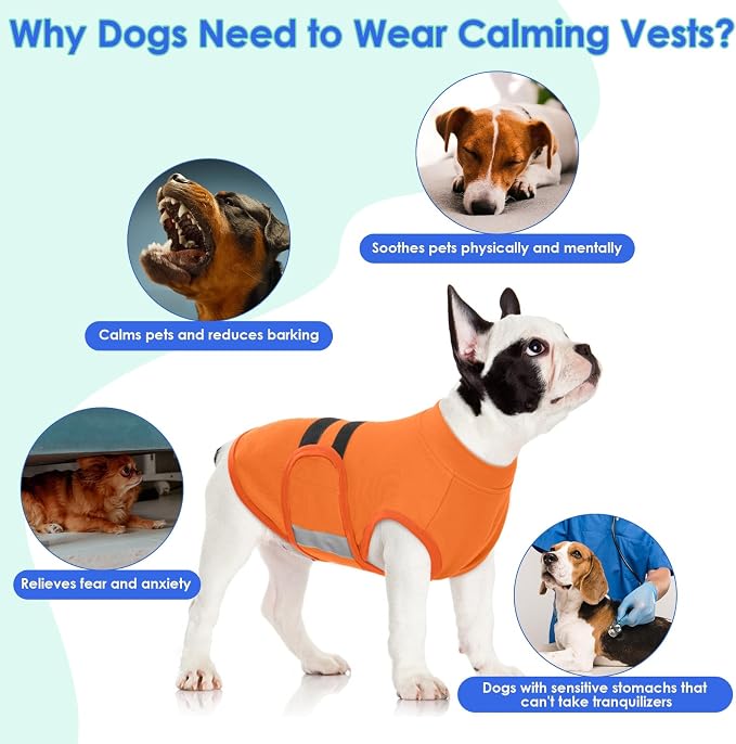 MIGOHI Dog Anxiety Relief Coat, X-Small, Small, Orange