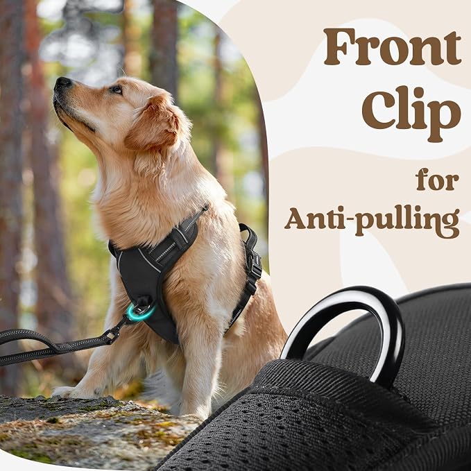 rabbitgoo Dog Harness for Large, Updated Easy On & Off with 3 Buckles | No Pull No Choke, Walking with 2 Clips and Handle, Adjustable Soft Reflective, Black, Large