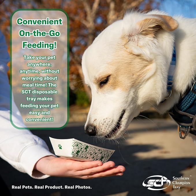 SCT Small Disposable Pet Food Bowl, 1/2 Cup, 100 Count