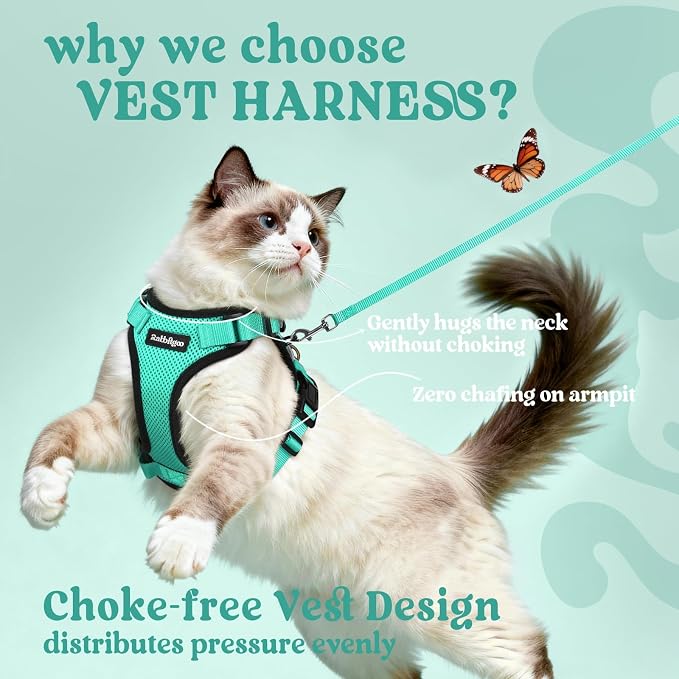 rabbitgoo Cat Harness and Leash Set, Escape Proof Vest, Emerald | Soft Breathable Mesh, Easy Adjustable Fit, Snap Buckles, Sturdy Clip, Reflective Strips, for Average Cats Walks, S