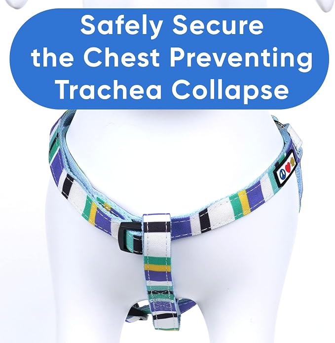 Pawtitas Multicolor Step-in Dog Harness – Adjustable No-Pull Vest for Puppies to Seniors, Safe & Comfortable S Blue/Teal/Yellow