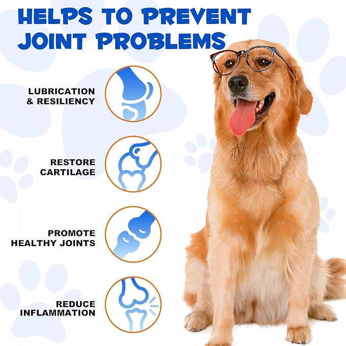 Joint Supplement for Dogs – Glucosamine Chondroitin with Turmeric & Devils Claw – Natural Relief for Senior, Active Adults & Puppy Hip & Joint Health – Support for Inflammation & Cartilage – 2 fl oz