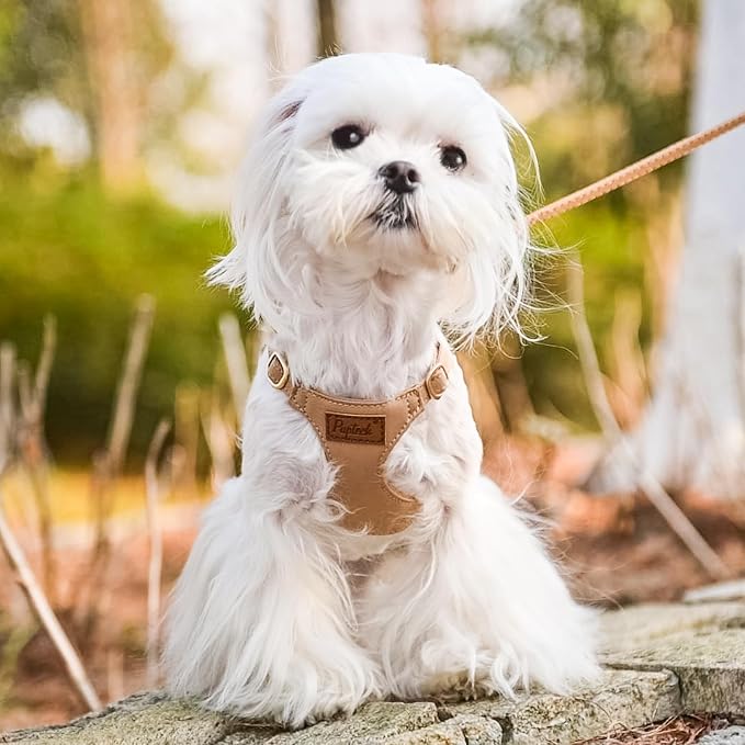 PUPTECK Dog Harness and Leash Set Small Sized, Lightweight Step-in Puppy Harness, Escape Proof No Pull Cute Pet Vest Harnesses, Khaki XS