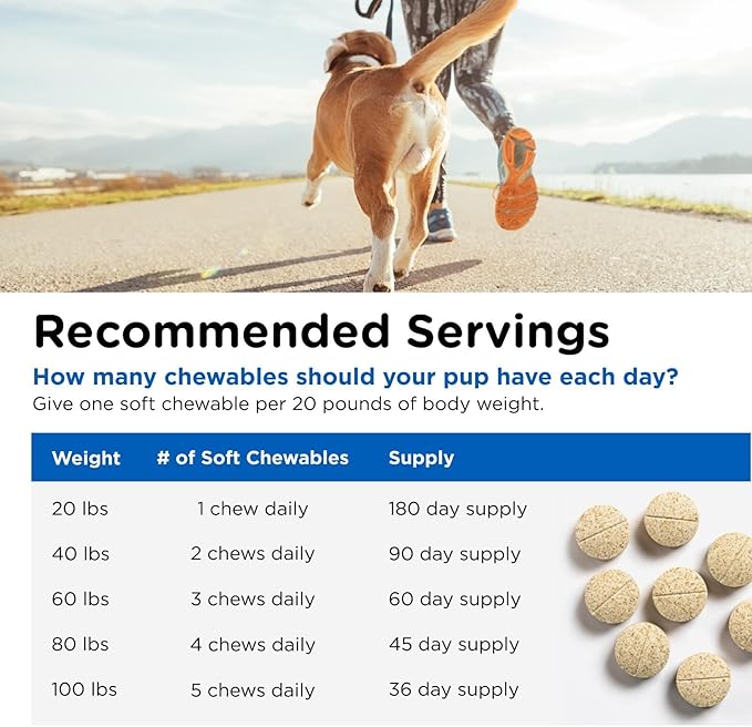 Nutri-Vet Dog Multivitamin, Multivitamin for Dogs, Dog Health, 60 Count | Daily Multivitamin, Dog Vitamins, Dog Vitamins & Supplements, Immune Support, Balanced Nutrition, Overall Pet Health