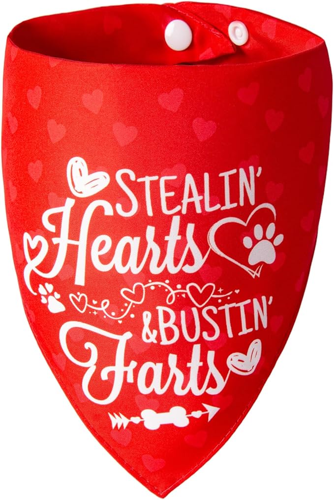 Reversible Dog Bandanas for Valentine's Day, Large, 1-Pack, Medium