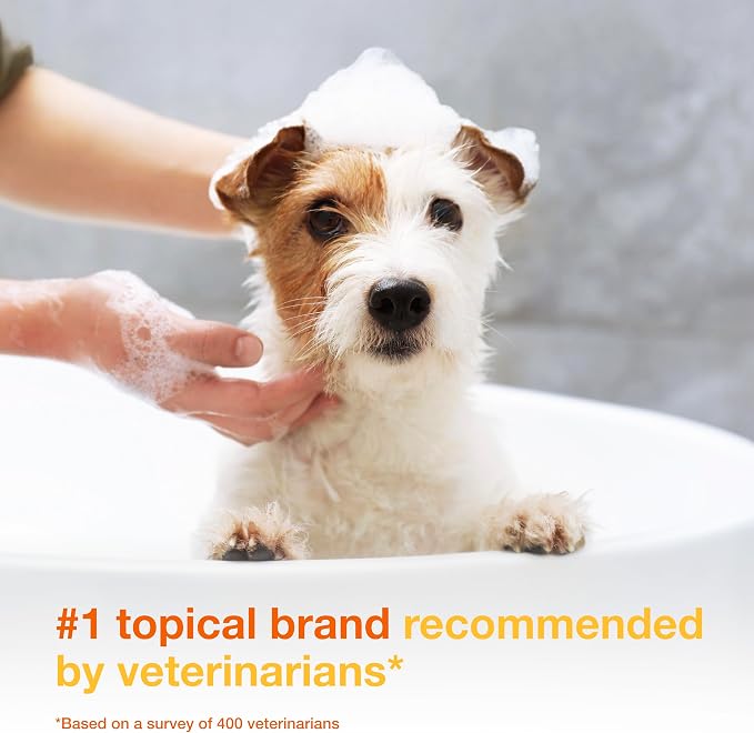 Douxo S3 PYO Medicated Dog Shampoo with 3% Chlorhexidine for Dogs – Antibacterial & Antiseptic Yeast Infection Treatment For Dogs & Cats, Clinically Proven, 6.7 fl oz | Antibacterial & Antiseptic Yeast Infection Treatment For Dogs & Cats, Clinically Pr...