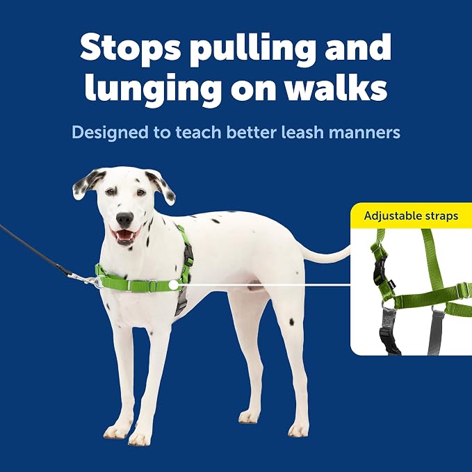PetSafe Easy Walk No-Pull Dog Harness - Ultimate Harness to Help Stop Pulling - Pull-Free Walks - Take Control & Teach Better Leash Manners - Patented Martingale Loop Design - Apple Green,Medium/Large