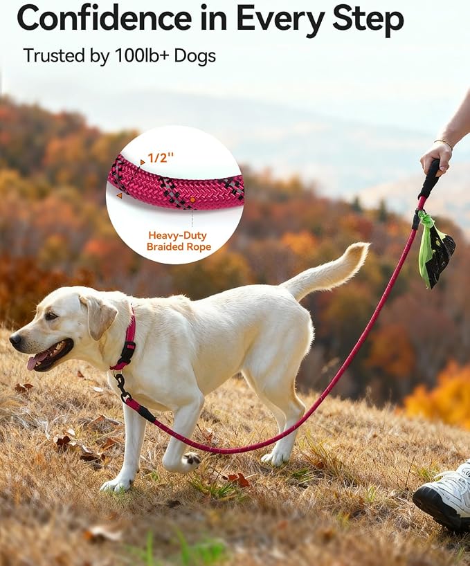 Joytale Rope Dog Leash for Medium Large Dogs, Padded Handle, 6FT, Hot Pink | Reinforced Nylon Webbing, Comfort Grip Eases Hand Strain, Swivel Clip Prevents Tangles, Visible at Night, for Outdoor Walks