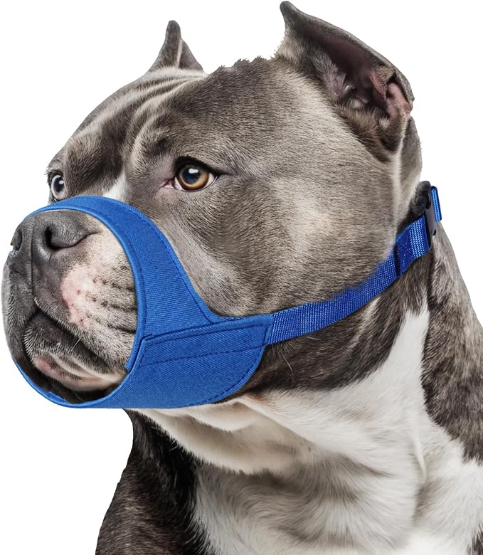 Short Snout Dog Muzzle for Schnauzer Bully Boxer Puppy Anti Biting | Soft & Sturdy Fabric, Grooming Vet Visits Walking Use, Allow to Drink, Prevent Fierce Chewing, Fits Medium Dogs | Blue, M