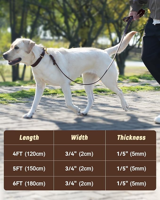Joytale Leather Dog Leash, Strong Heavy Duty Genuine Cowhide with Brass Hook, Soft and Comfortable Leather Training Leash for Large Medium Small Dogs（Brown, 6ft×3/4''）