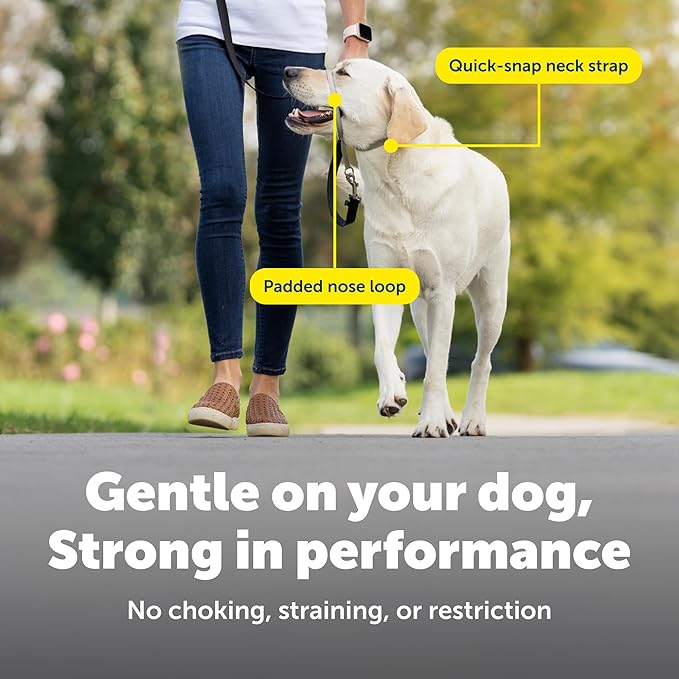 PetSafe Gentle Leader No Pull Dog Headcollar, Silver, Large | Veterinary Behaviorist-Designed No-Pull Headcollar Redirects Pulling Instinct, Padded Neoprene Nose Loop, Quick-Snap Fit