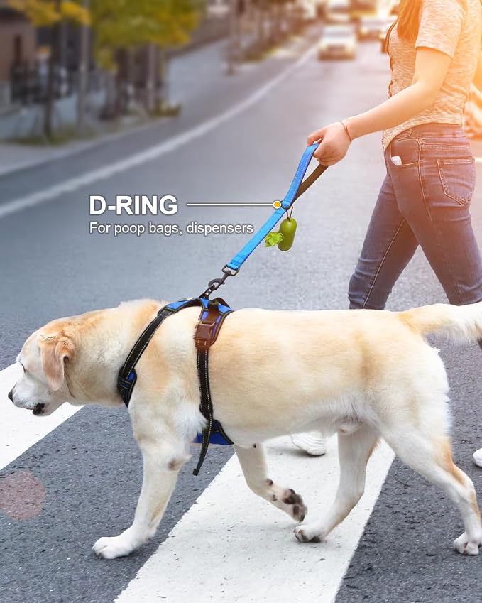 Joytale Short Dog Leash for Close Control & Training, 24", Aqua Blue | Padded Comfort Handle, Reinforced Nylon Webbing, Secure Metal Clip, for Busy Streets & Heel Training