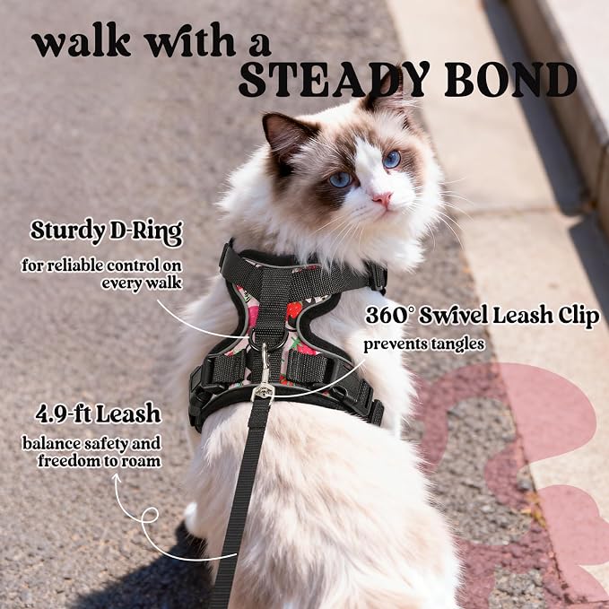 rabbitgoo Cat Harness and Leash Set, Escape Proof Vest, Berry Pounce | Soft Breathable Mesh, Easy Adjustable Fit, Snap Buckles, Sturdy Clip, Reflective Strips, for Kittens & Small Cats Walks, Xxs