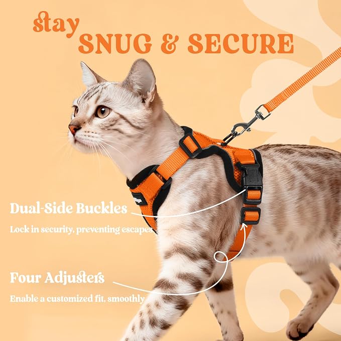 rabbitgoo Cat Harness and Leash Set, Escape Proof Vest, Orange | Soft Breathable Mesh, Easy Adjustable Fit, Snap Buckles, Sturdy Clip, Reflective Strips, for Small & Average Cats Walks, Xs