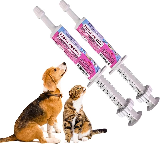 Oral Paste for Dogs & Cats (2 Pack, 15 CC - Tasty Chicken)