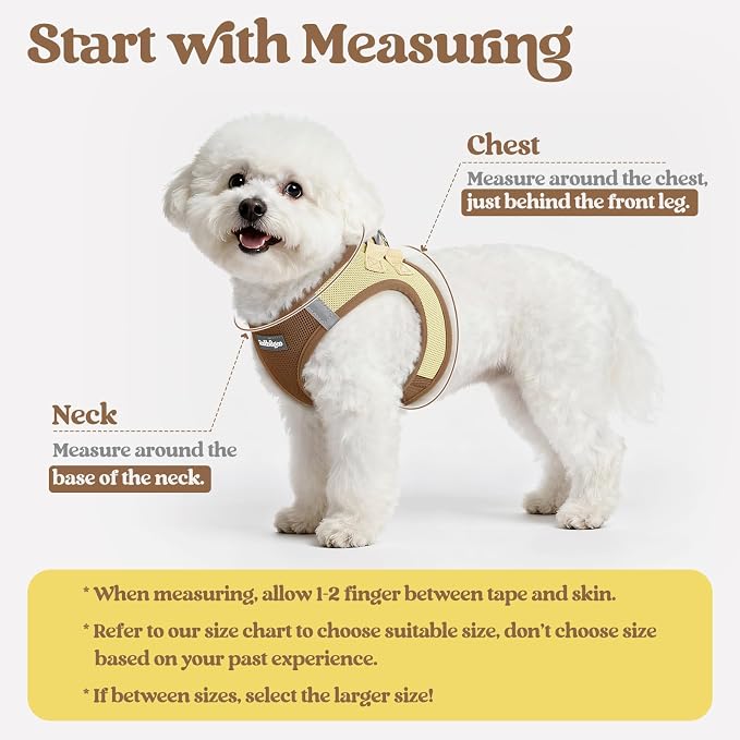 rabbitgoo Dog Harness Small Sized and Leash Set, Step-in Puppy Pet Vest | Light, Soft, Breathable Air Mesh, Easy on and Remove with Hook & Loop, Secure Reflective for Walking, Brown & Beige XXS