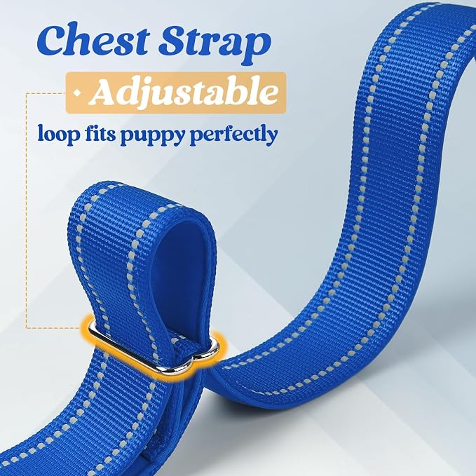 rabbitgoo Dog Harness No Pull, Quick Fit for Medium Sized Dog, Reflective | Chest Adjustable Pet Vest with Soft Padded Handle, No Choke Escape Proof for Walking Training, Blue M