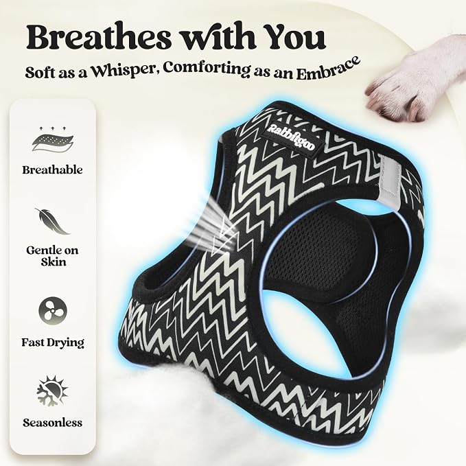 rabbitgoo Dog Harness Small Sized and Leash Set, Step-in Puppy Pet Vest | Light, Soft, Breathable Air Mesh, Easy on and Remove with Hook & Loop, Secure Reflective for Walking, Black Zigzag XXS