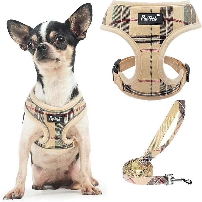 PUPTECK Soft Mesh Dog Harness Small Sized and Leash Set Pet Puppy Cat Comfort Padded Vest No Pull Harnesses, Beige, XS