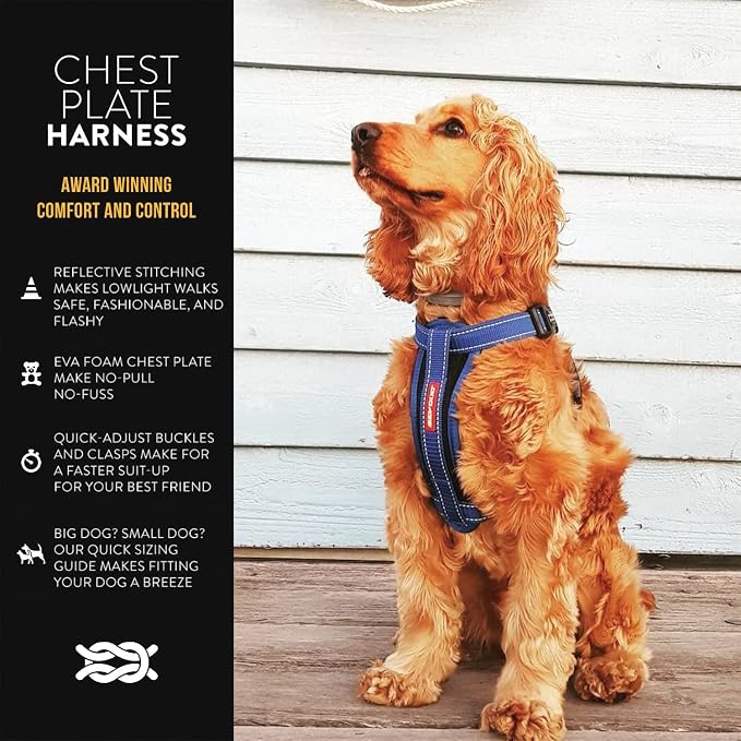 EzyDog Chest Plate No Pull Dog Harness, Escape Proof - X-Small, Denim | Car Restraint Included, Comfort EVA Padding, Adjustable for All Breeds, Quick Release Buckles, Reflective Stitching