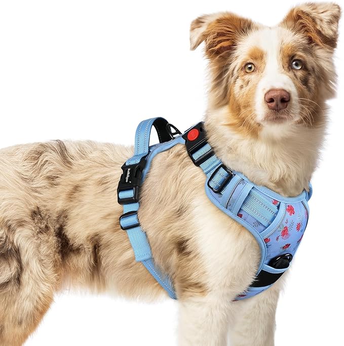 rabbitgoo Dog Harness Medium Sized, Updated Easy On & Off with 3 Buckles | No Pull No Choke, Walking with 2 Clips and Handle, Adjustable Soft Reflective, Floral Blue, Medium